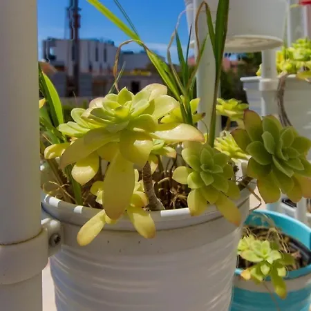 With Parking Space Brodarica, Sibenik - 21490