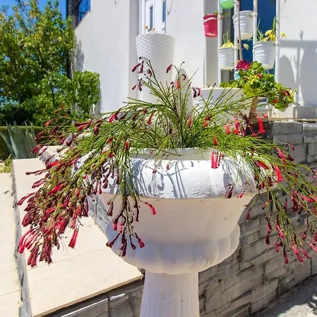 Apartamento With Parking Space Brodarica, Sibenik - 21490 *