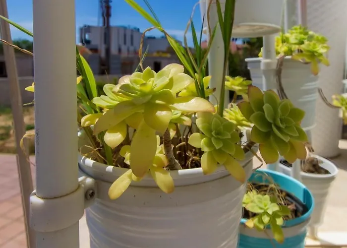 With Parking Space Brodarica, Sibenik - 21490